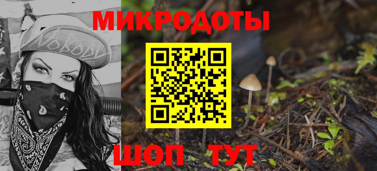 Саратов  Галлюциногенные грибы Cubensis  как найти   Вход с VPN 
