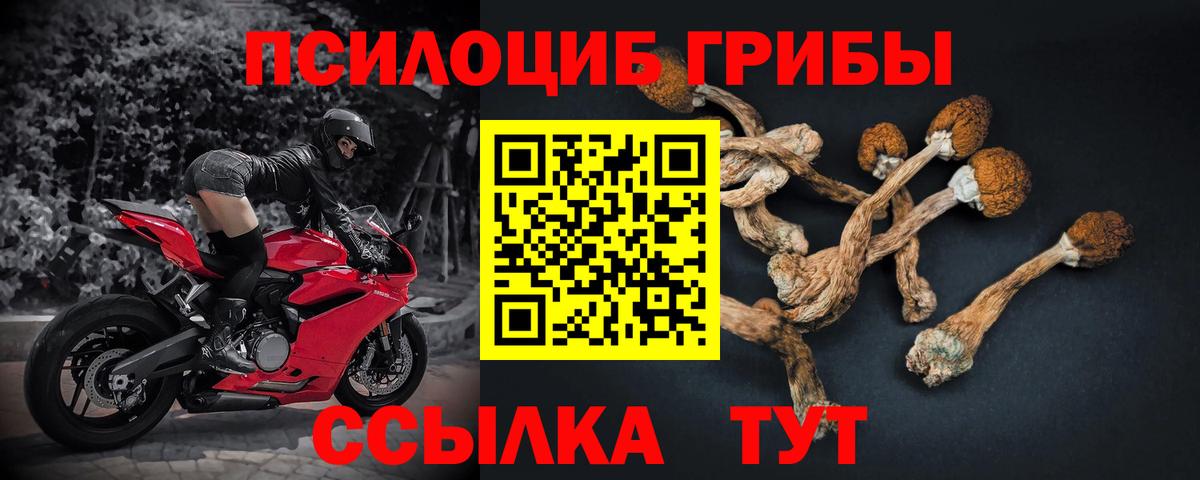Галлюциногенные грибы GOLDEN TEACHER Саратов